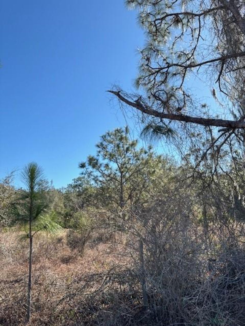 Photo of Old Grade Road, Polk City, FL 33868 (MLS # L4959116)
