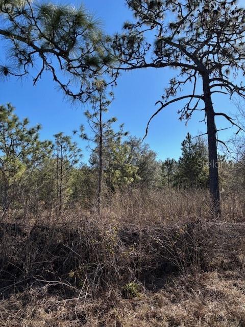 ORLANDO PINES UNIT 4 SEC 7 AND 18 - Land