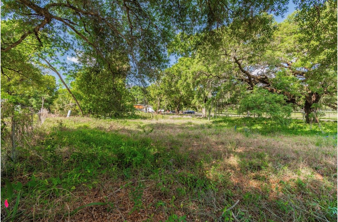 HARRISON PAUL - Land