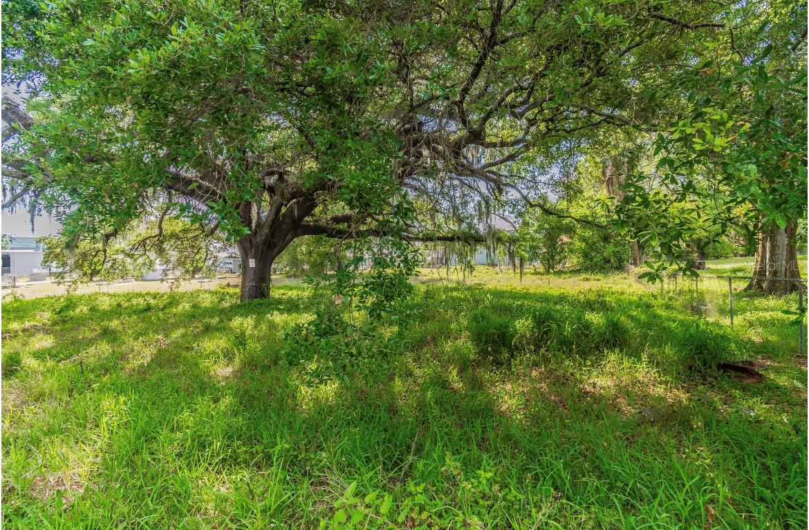 HARRISON PAUL - Land