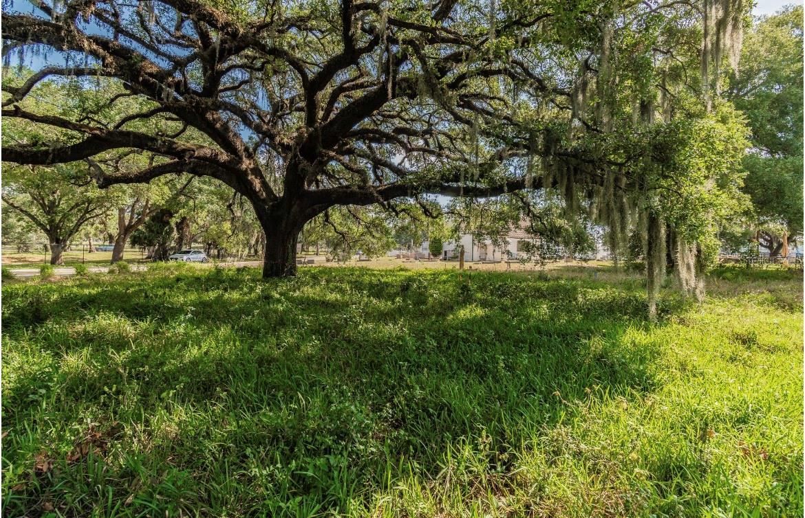 HARRISON PAUL - Land