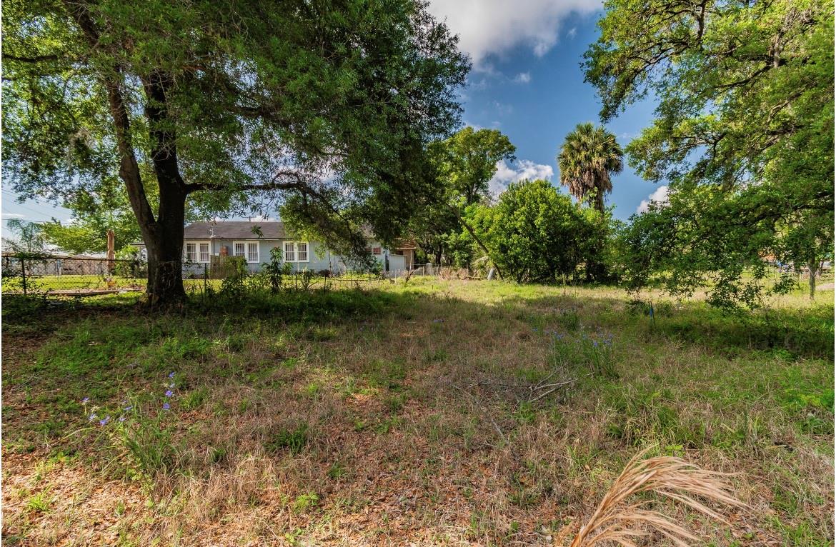 HARRISON PAUL - Land