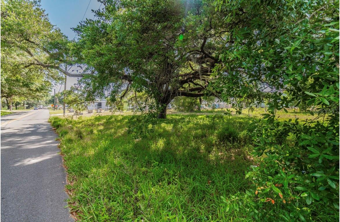 HARRISON PAUL - Land