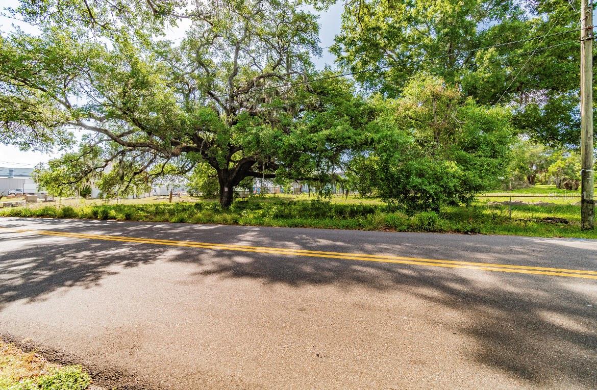 HARRISON PAUL - Land