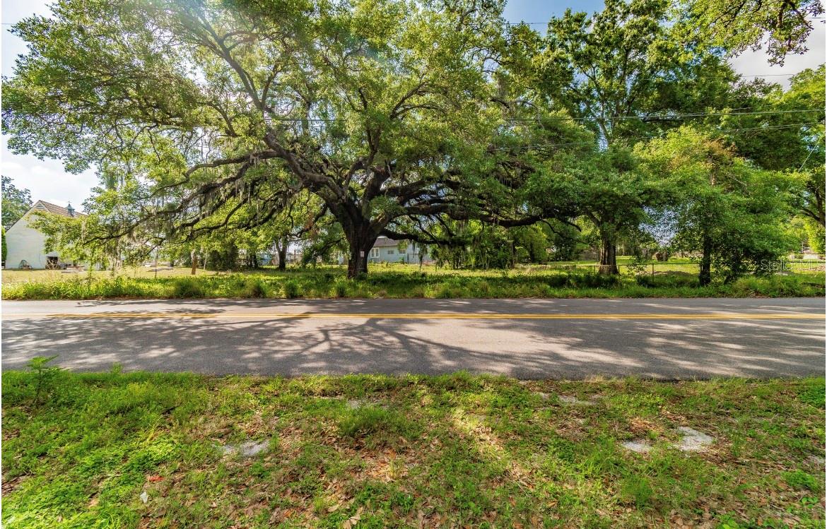 HARRISON PAUL - Land