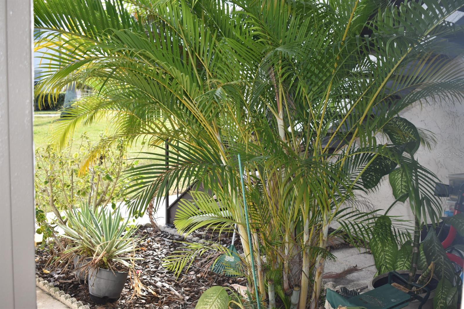 BOULEVARD CLUB THE CONDO - Residential