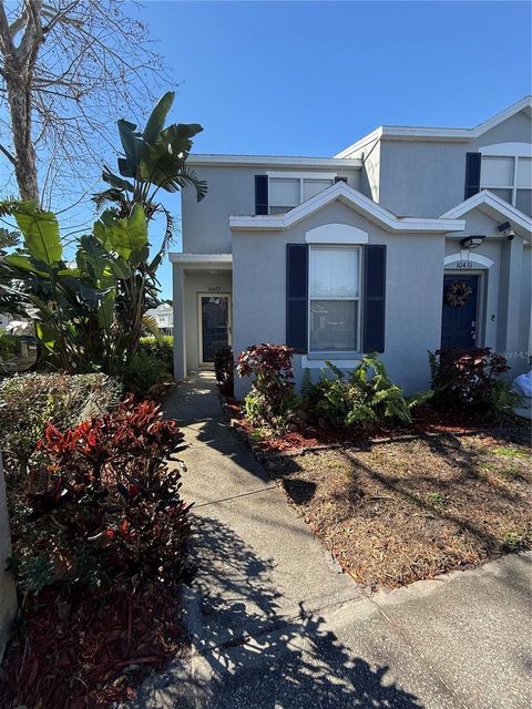 10433 HERON LAKE DRIVE RIVERVIEW FL 33578