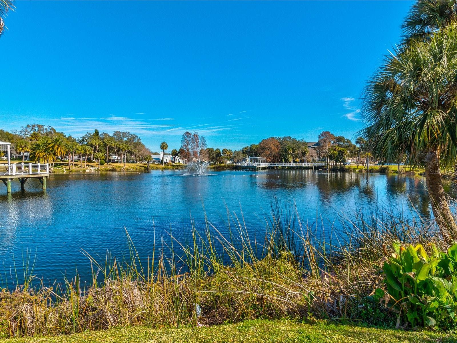 NEW PORT RICHEY CITY - Residential