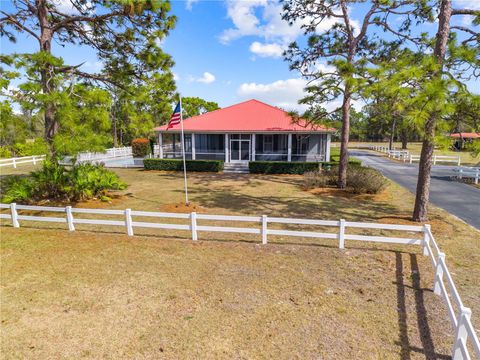 Photo of 4561 Henry J Avenue, Saint Cloud, FL 34772 (MLS # S5144401)