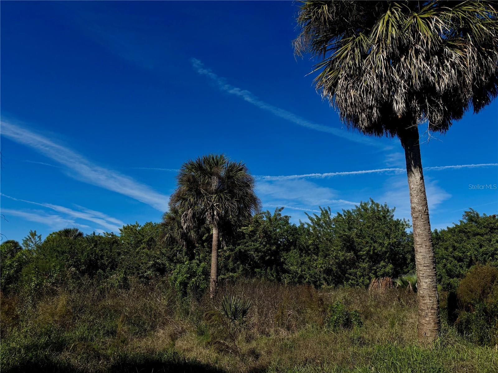 PORT CHARLOTTE SEC 061 - Land