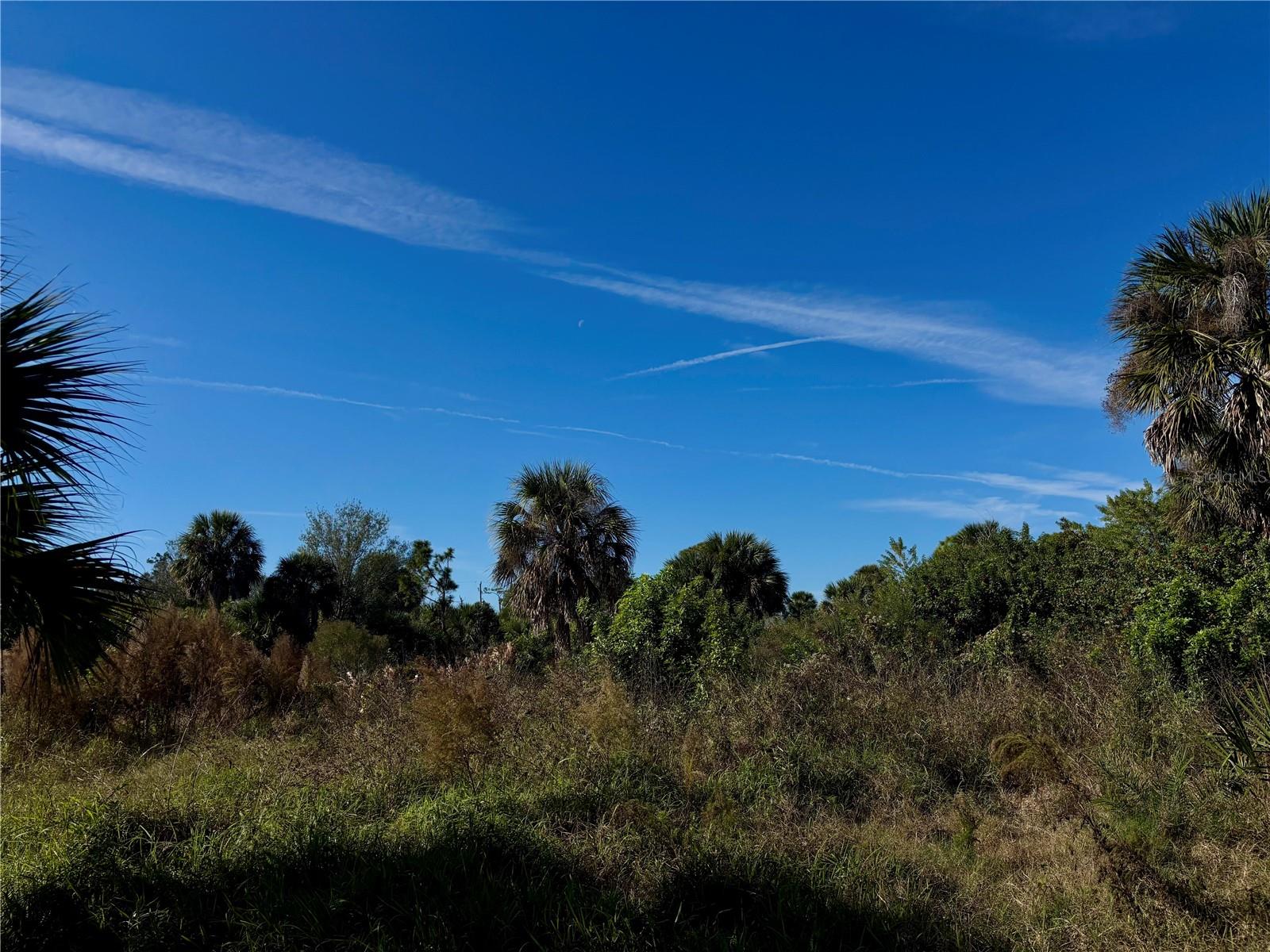 PORT CHARLOTTE SEC 061 - Land