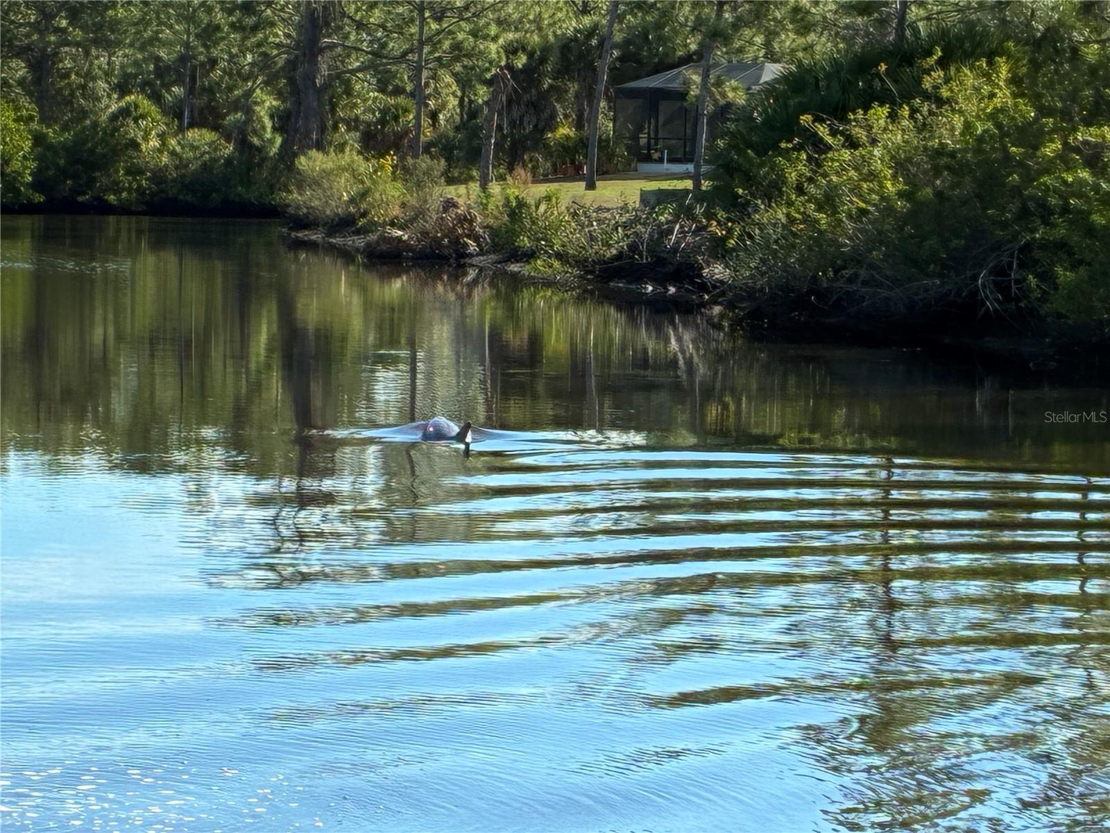 PORT CHARLOTTE SEC 061 - Land