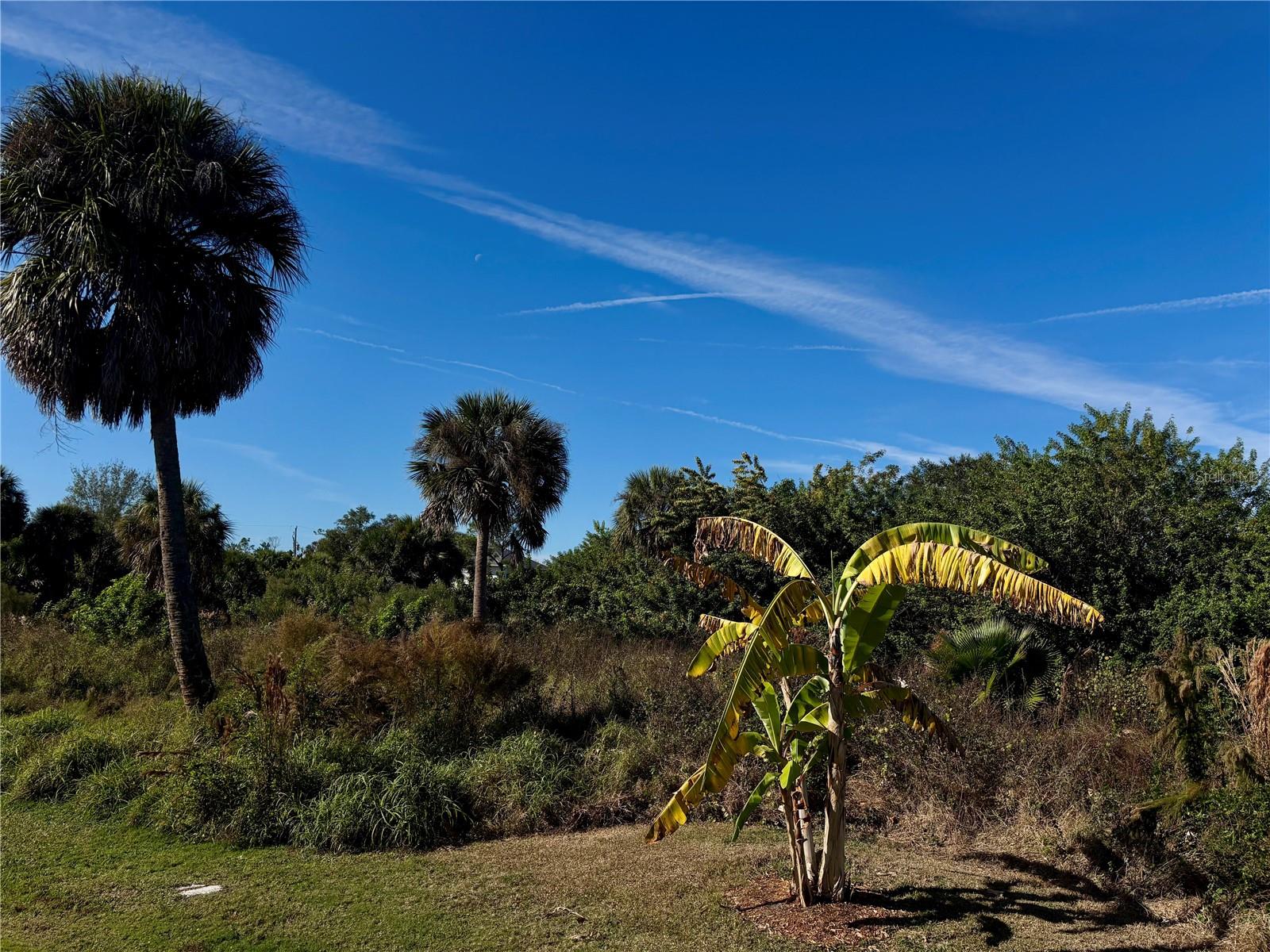 PORT CHARLOTTE SEC 061 - Land