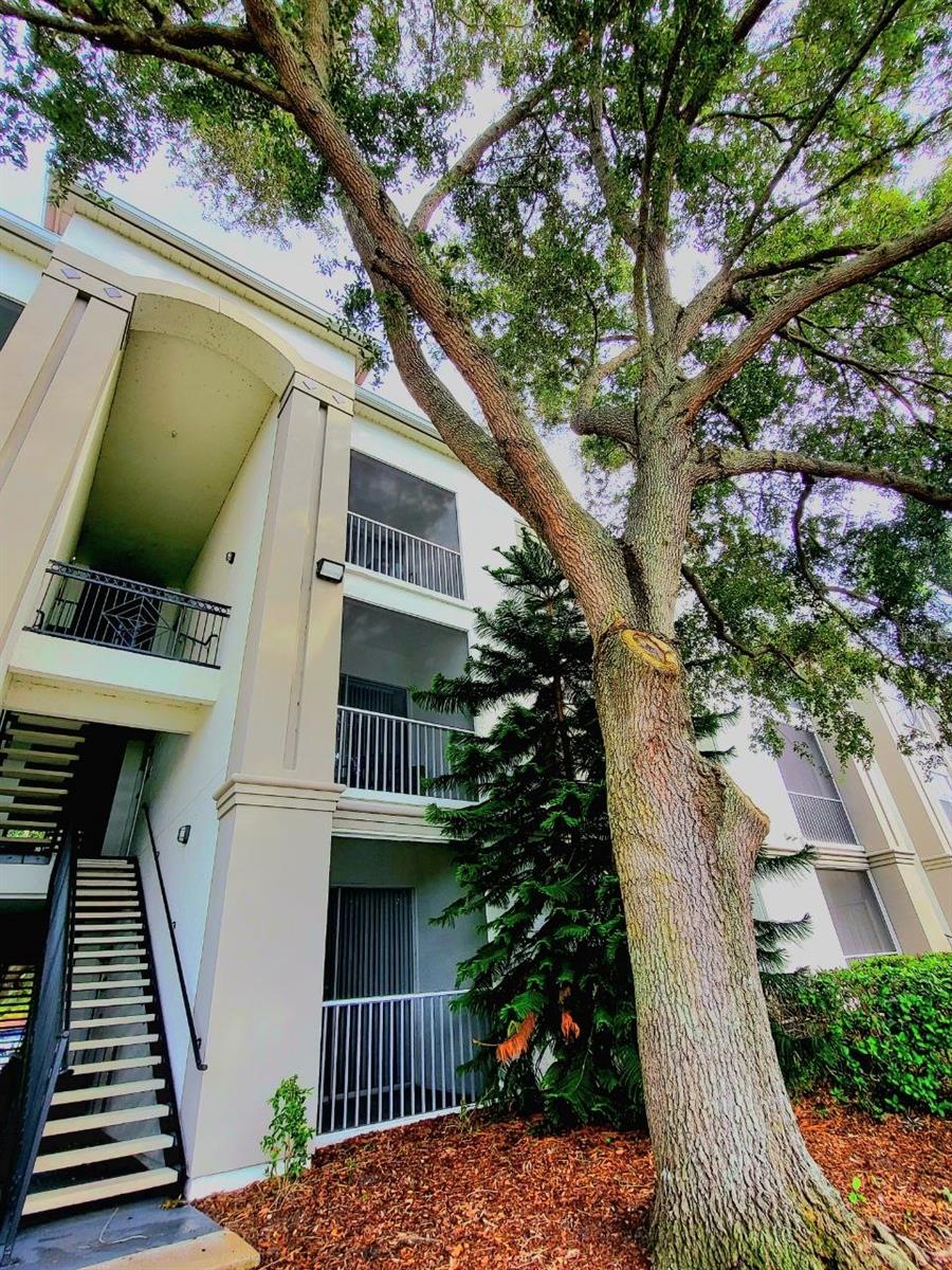 ***1/1 For rent in beautiful Bella Terra*** 2nd floor , WITH EXCLUSIVE USE OF A CAR PORT and water view, washer/ dryer in unit, walk-in closet, balcony, storage, PART FURNISHED WITH KING BED < SET OF DRAWS and SIDE TABLES. Carpet and Tile floors gated community, fitness center, pool, recently renovated Clubhouse. Excellent location. Call for a viewing today! Application fee $95 per adult, 3 time the rent coming inn per month to qualify. No Pets.