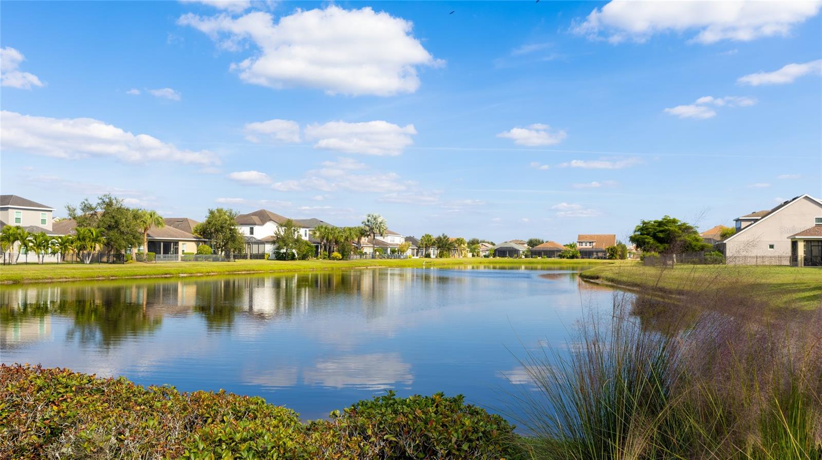 ARBOR RESERVE - Residential