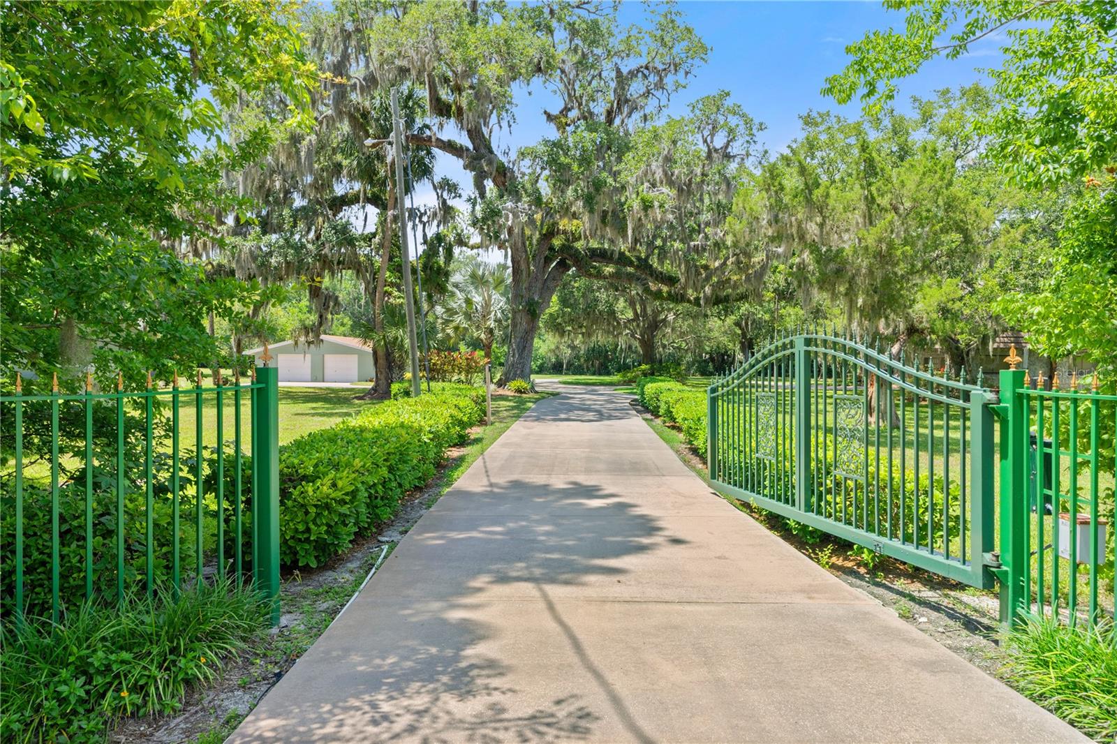 1010 BIG TREE ROAD