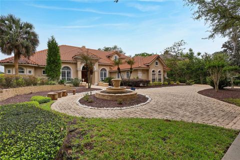 Photo of 9143 Southern Breeze Drive, Orlando, FL 32836 (MLS # O6397511)