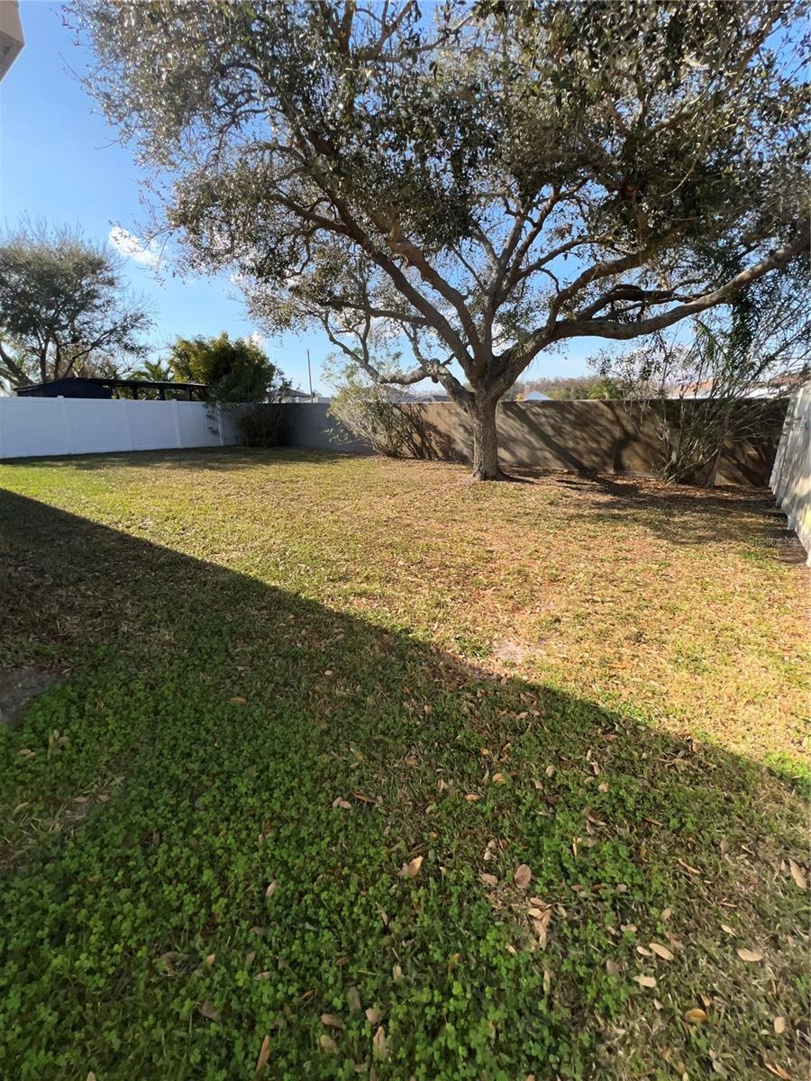 FOUNTAINS AT CYPRESS LAKES II-B THE - Residential