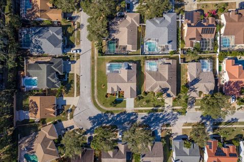 A home in PALM HARBOR