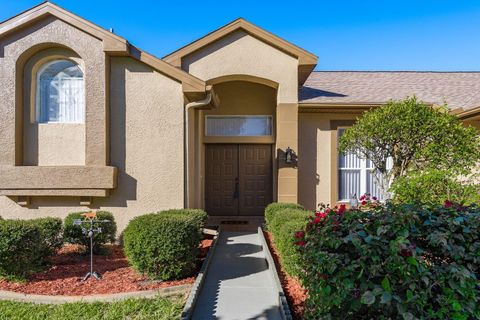 A home in PALM HARBOR