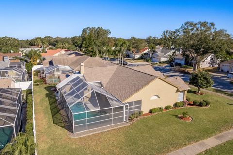 A home in PALM HARBOR