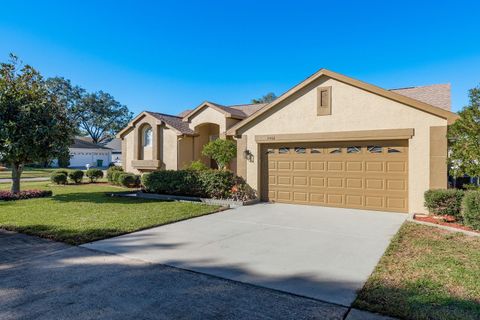 A home in PALM HARBOR