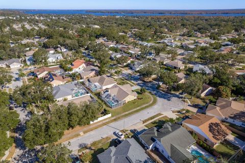 A home in PALM HARBOR