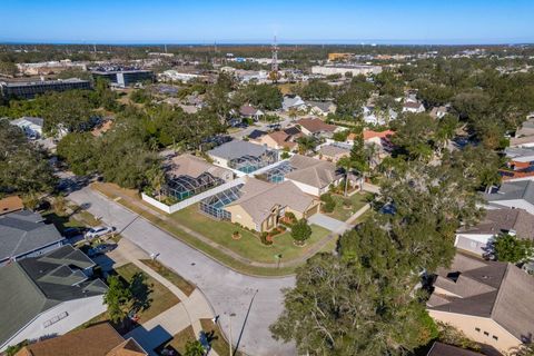 A home in PALM HARBOR