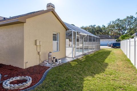 A home in PALM HARBOR