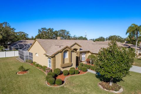 A home in PALM HARBOR