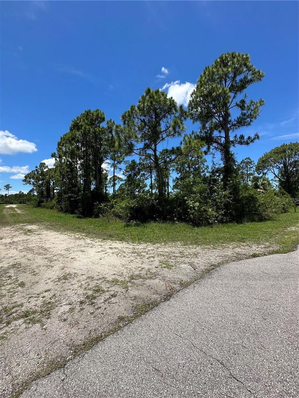 Photo of 13201 Telegraph Drive, Punta Gorda, FL 33955 (MLS # T3551885)