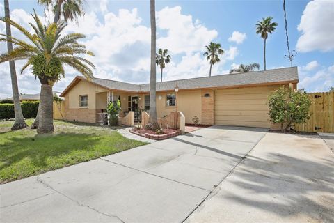 5616 RIDDLE ROAD HOLIDAY FL 34690