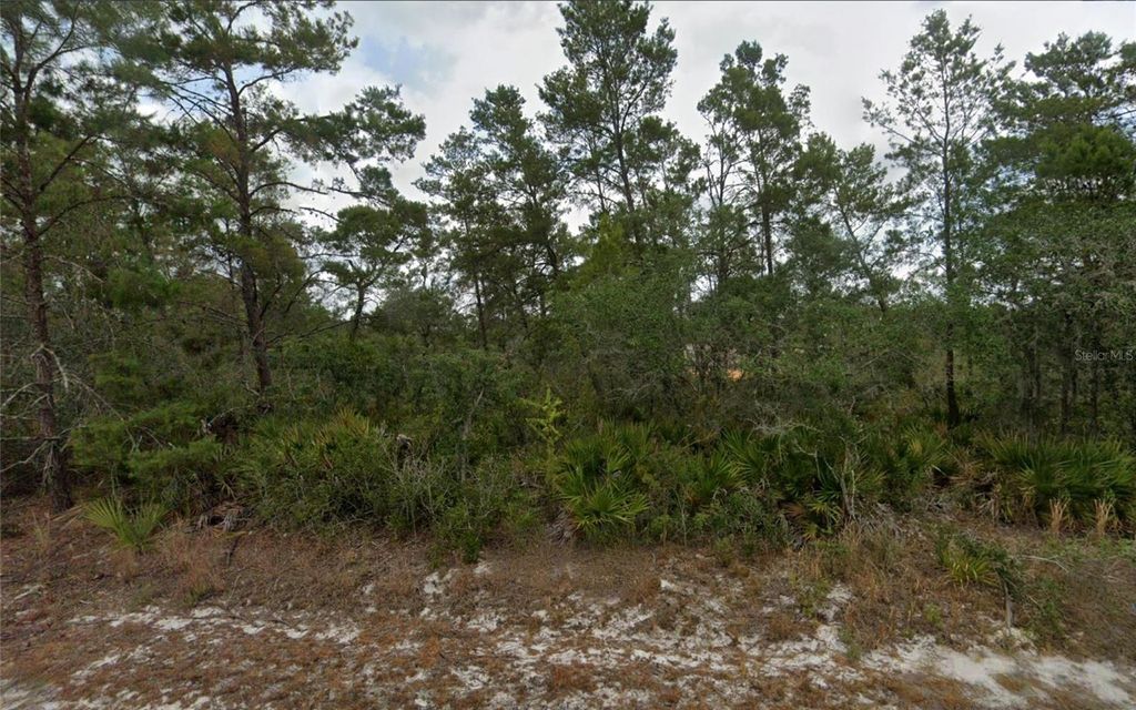 Photo of 7829 Vittorio Street, Sebring, FL 33872 (MLS # TB8435699)