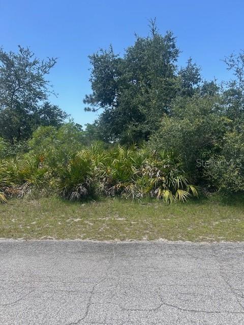 INDIAN LAKE ESTATES - Land