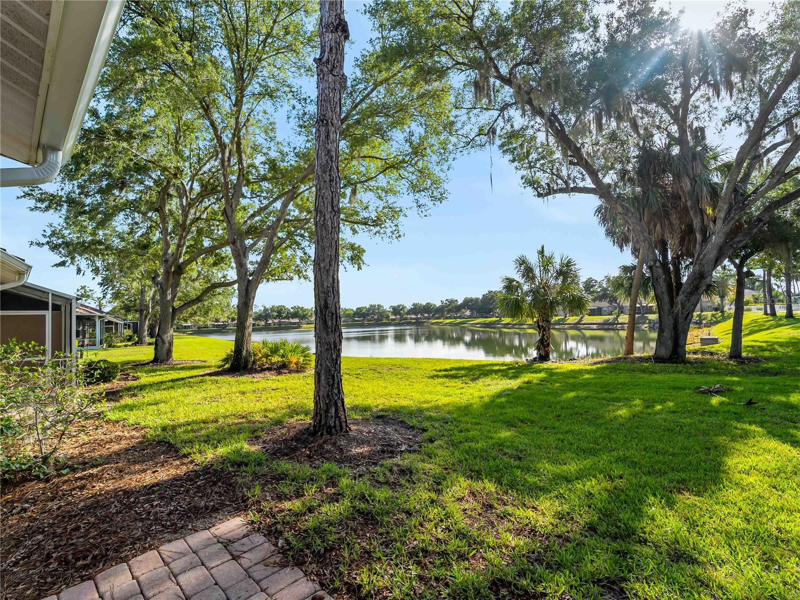 BOBCAT TRAIL - Residential