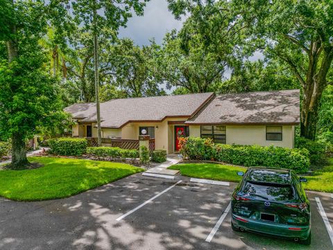 Photo of 2910 Star Apple Court, Palm Harbor, FL 34684 (MLS # TB8382789)