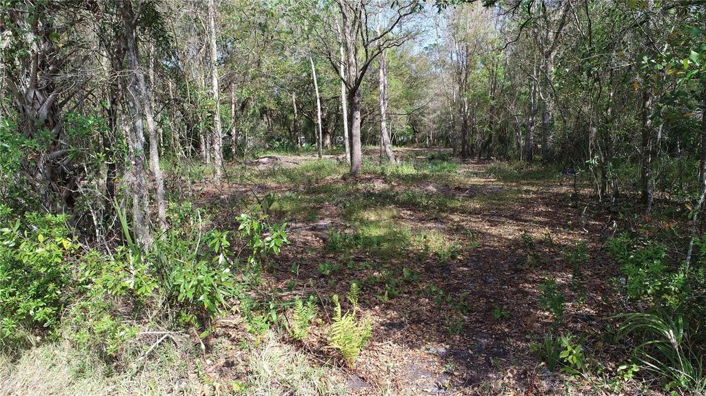 Photo of Cedarhurst Rd, Orlando, FL 32820 (MLS # O6390748)