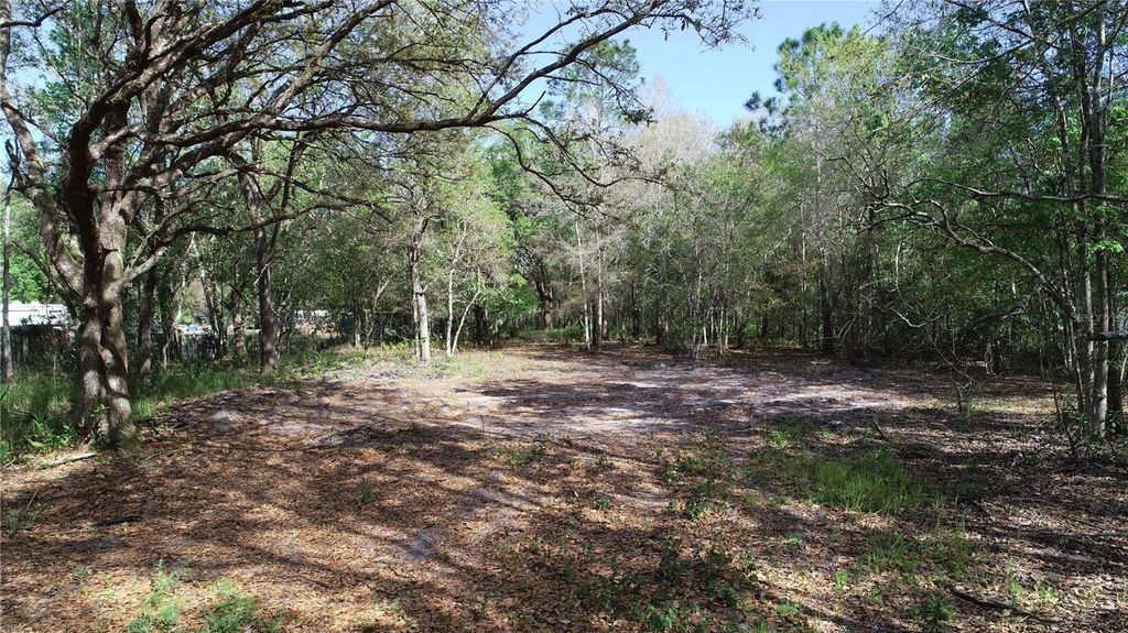 Photo of Cedarhurst Rd, Orlando, FL 32820 (MLS # O6390748)