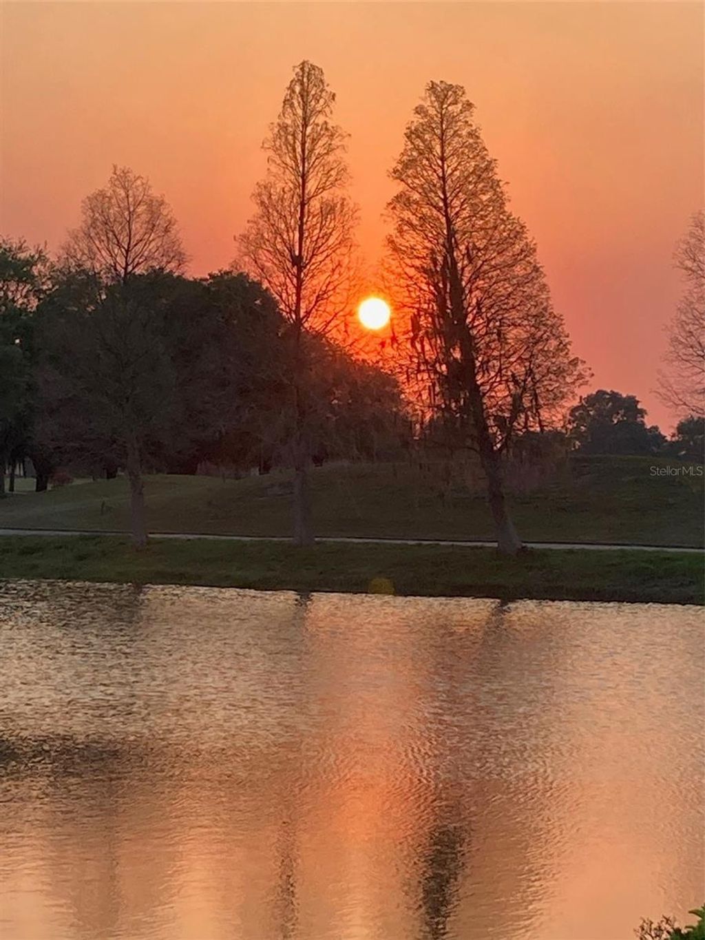 Photo of 915 Regal Manor Way, Sun City Center, FL 33573 (MLS # TB8484191)