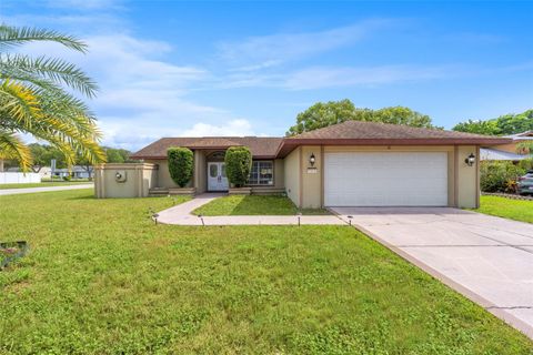 Photo of 7812 Sylvan Drive, Hudson, FL 34667 (MLS # TB8421649)
