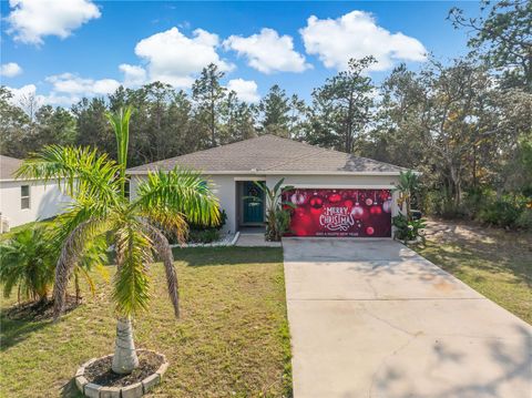 328 HIBISCUS DRIVE POINCIANA FL 34759
