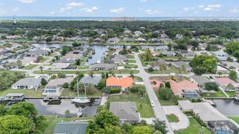 A home in PALM COAST