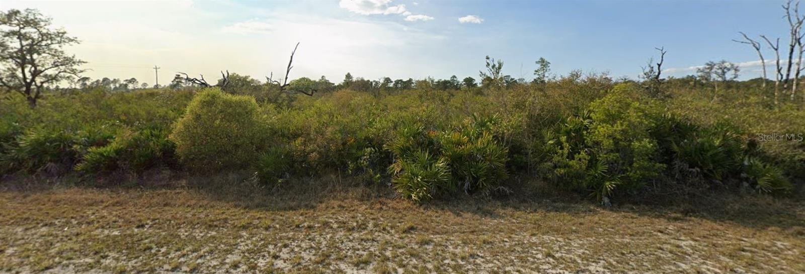 INDIAN LAKE ESTATES - Land