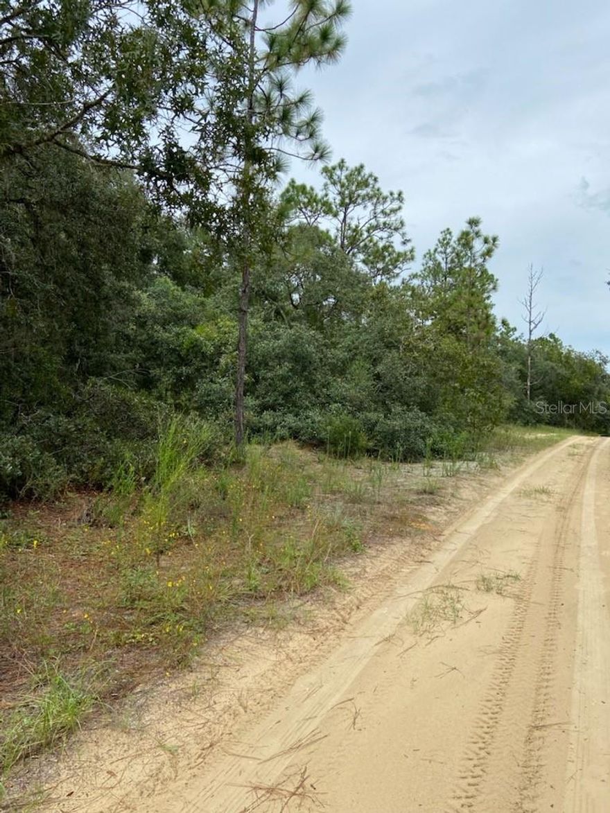 Come and build your home on this lot in Inverness.
Close to restaurants, shops and close to a State Park  for hiking and other activities.
Buy now to get a good price before serious development starts.
Check out the lot and make an offer; seller negotiable
