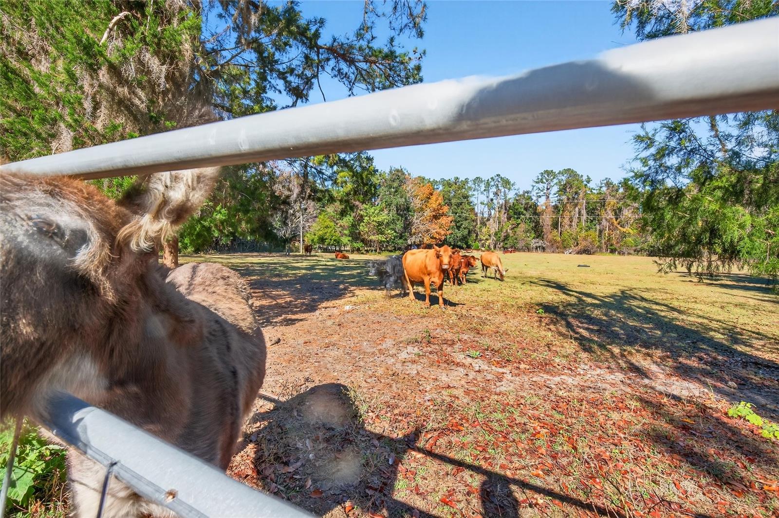 NON SUB - Residential