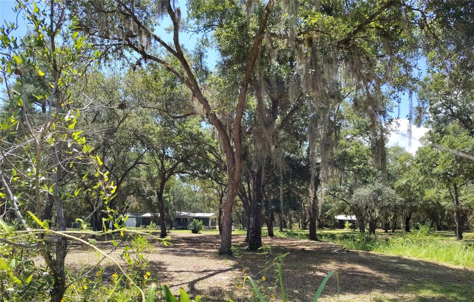 12627 BLACKBERRY LANE
