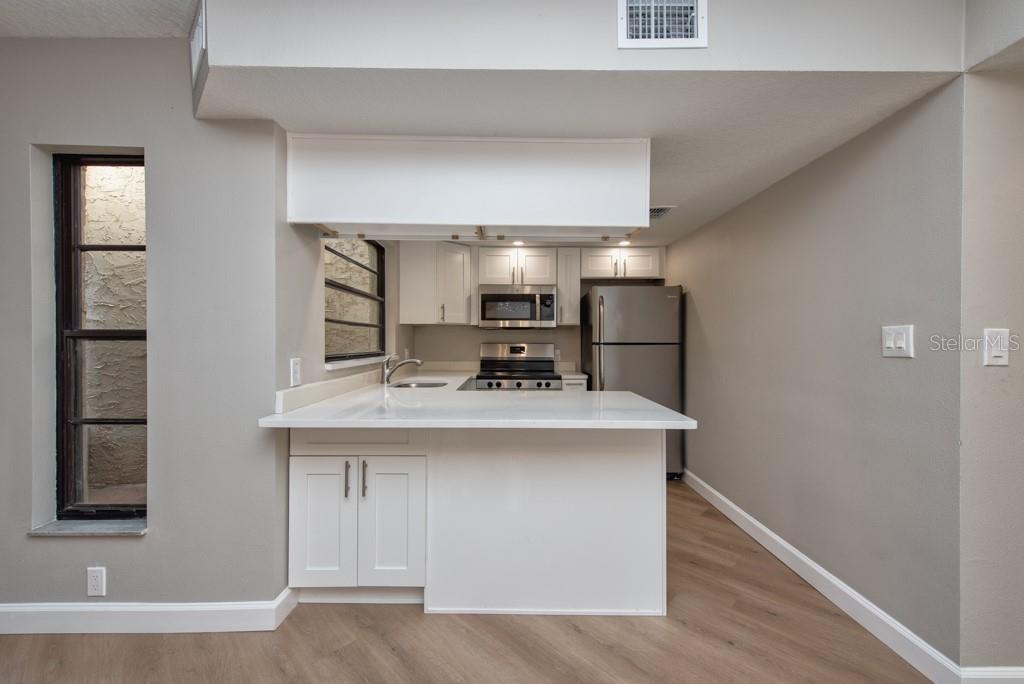 LAKE TARPON VILLAS CONDO - Residential