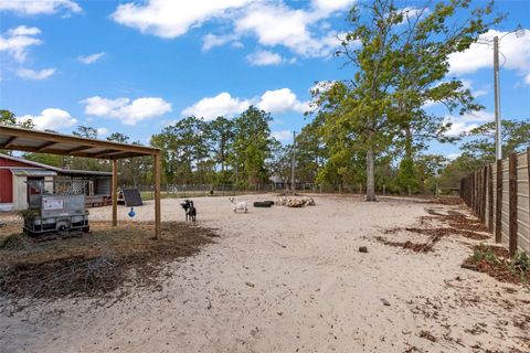 Tiny photo for 5174 S Oldfield Avenue, Homosassa, FL 34446 (MLS # W7884508)