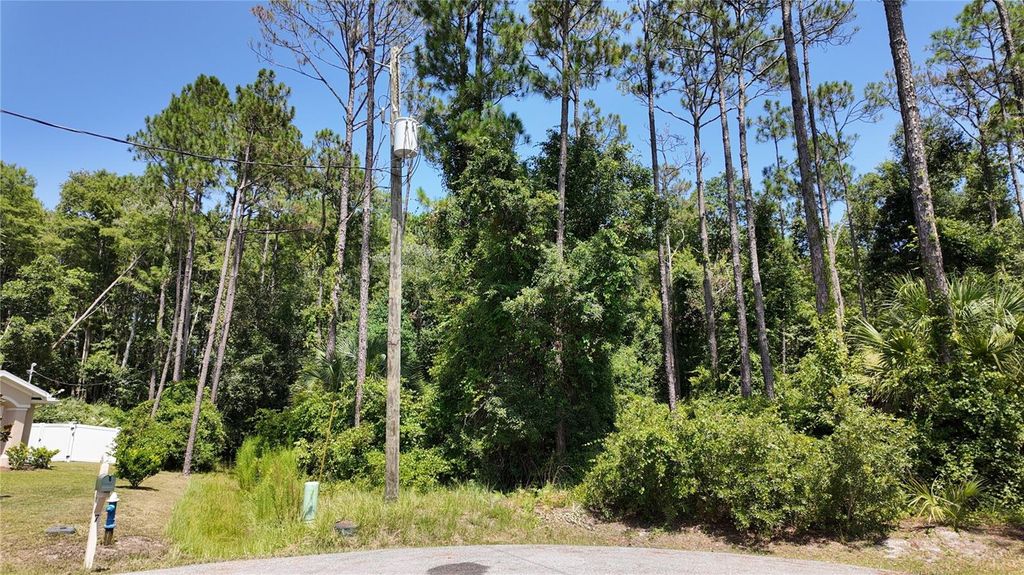 Photo of 8 Zaftig Court, Palm Coast, FL 32164 (MLS # FC319854)