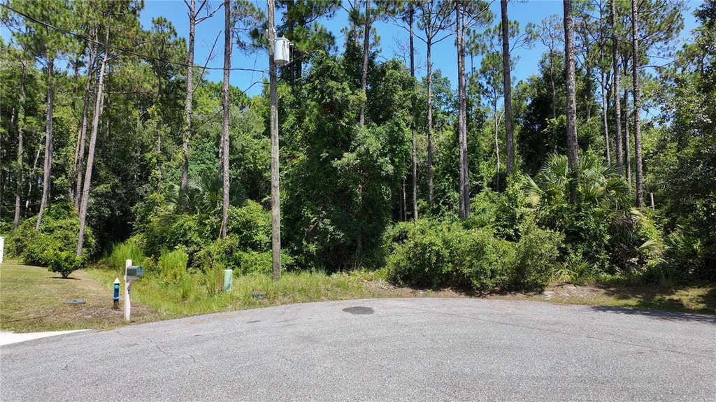 Photo of 8 Zaftig Court, Palm Coast, FL 32164 (MLS # FC319854)